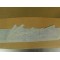 Sticker Honda SA50 VISION 1993 87125-GY1-700ZB