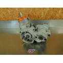 Moteur complet Sherco 250 2.5 Trial 2001