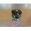 Tambour de frein avant droit Hytrack HY 50 SX
