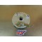 Tambour de frein avant gauche Hytrack HY 50 SX