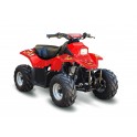 Quad Hytrack HY 50 SX