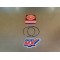 Segment Honda 125 CR 1980-1984 13014-466-305