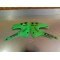 Ouies de radiateur Kawasaki 85 KX 1998-2013