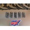 Disques + ressort d'embrayage Kawasaki 250 KLX B1