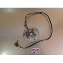 Stator allumage Kawasaki 250 KLX B1