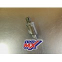 Valve Suzuki 250 RGV VJ21
