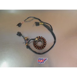 Stator allumage Suzuki 250 RGV VJ22