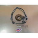 Stator d'allumage Suzuki 250 RGV VJ22