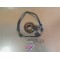 Stator d'allumage Suzuki 250 RGV VJ22