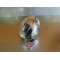 Phare avant Suzuki 125 GN