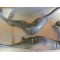 Paire de pot d'échappement Suzuki 250 RGV VJ22