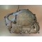 Carter d'embrayage Honda 600 XLM