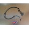 Capteur d'allumage Honda 600 XLM