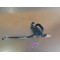 Boitier reniflard Kymco 500 MXU