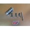 Système barillet de sélection + fourchettes Montesa 123 MH