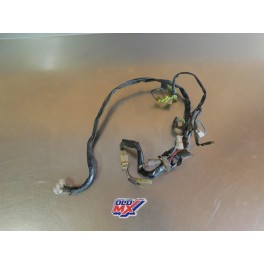 Faisceau électrique GasGas 250 TXT 2001