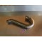 Collecteur d'échappement Sherco 450/510 4.5i/5.1i 2004-2008