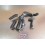 Kit durites de radiateur Sherco 450/510 4.5i/5.1i 2004-2008