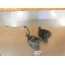 Etriers de frein avant BMW R1150RT