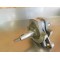 Vilebrequin neuf origine GasGas 450 WILD HP