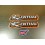 Paire de stickers de bras oscillant neuf Renthal 5.5x22cm