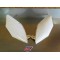Plaques latérales inférieur Honda 250 CRF 2019-2021/ 450 2017-2020