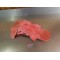 Sabot moteur GasGas 250 FE/ 350 FE / ECF 250 / ECF 350 2017-2023