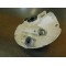 Tambour de frein avant Honda 80 CY