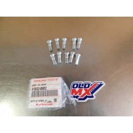 Lot de 10 écrou de rayon neuf Kawasaki 450 KLX 2008-2019/ 250 KXF 2005-2019/ 450 KXF 2006-2018 41032-0002