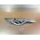 Protection de chaine Honda 650 Dominator