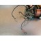 Stator allumage Vespa 125 ACMA