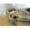 Carter d'embrayage/ pompe à eau Honda 450 CRF 2010