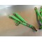 Support de cales pieds passager Kawasaki 250 KDX