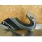 Carénage avant + support de fixation BMW Série 2/3/5 R69s R50/2 R60/2