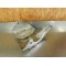 Sabot moteur Honda 600 Transalp