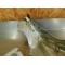 Sabot moteur Honda 600 Transalp