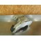 Sabot moteur Honda 600 Transalp
