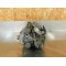Carburateur Honda 600 Transalp