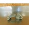 Patte de fixation moteur KTM 250/300 EXC 2008-2011