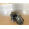 Protection de maitre cylindre arrière KTM 125 GS 1991