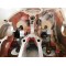 Couvre culasse + basculeurs Honda 600 XLM 