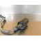 Bobine d'allumage Kymco 250 KXR