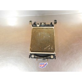 Radiateur Kymco 250 KXR
