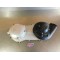 Carter de variateur Kymco 250 KXR