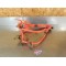Cadre Malaguti 50 Grizzly RCX 