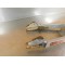 Bras oscillant Malaguti 50 Grizzly RCX 