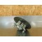 Moyeu/disque de frein avant TGB 550 SE Fi