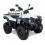 Quad TGB Blade 550 se fi