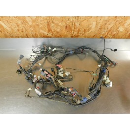 Faisceau électrique TGB 550 SE Fi