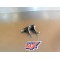 Fourchettes de boite Kawasaki 250 KX 1995